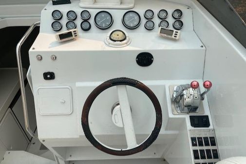 Intermarine Cougar image