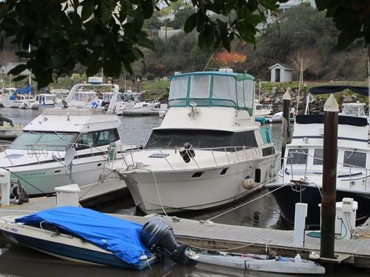 Silverton MOTOR-YACHT - main image