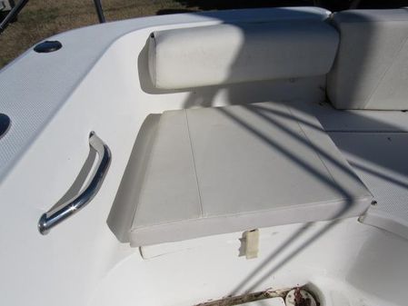 Triton 225 DC image