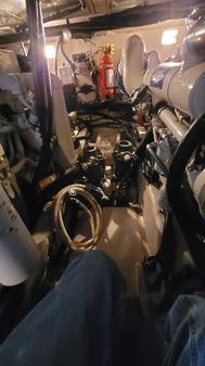 Sea-ray 390-MOTOR-YACHT image