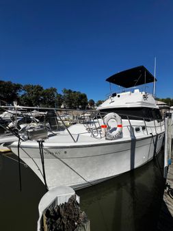 Bayliner 3288 Motoryacht image