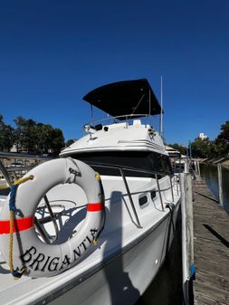 Bayliner 3288 Motoryacht image