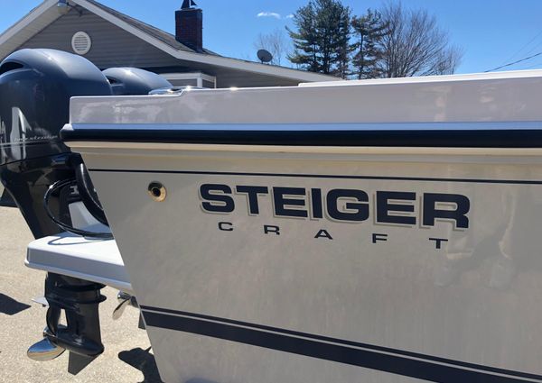 Steiger-craft 255-DV-CHESAPEAKE image