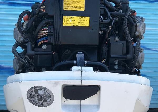 Evinrude E300DPZSEF image