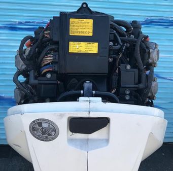 Evinrude E300DPZSEF image