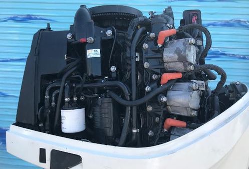 Evinrude E300DPZSEF image