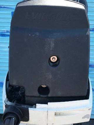 Evinrude E300DPZSEF image