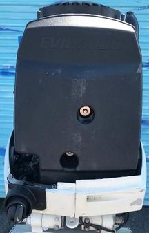 Evinrude E300DPZSEF image