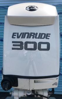 Evinrude E300DPZSEF image