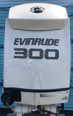 Evinrude E300DPZSEF - main image