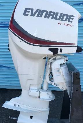 Evinrude E300DPZSEF image