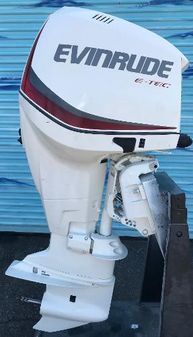 Evinrude E300DPZSEF image