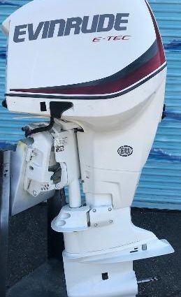 Evinrude E300DPZSEF image