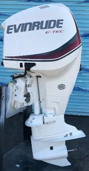 Evinrude E300DPZSEF image