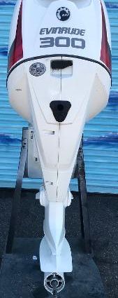 Evinrude E300DPZSEF image