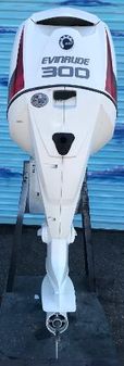 Evinrude E300DPZSEF image