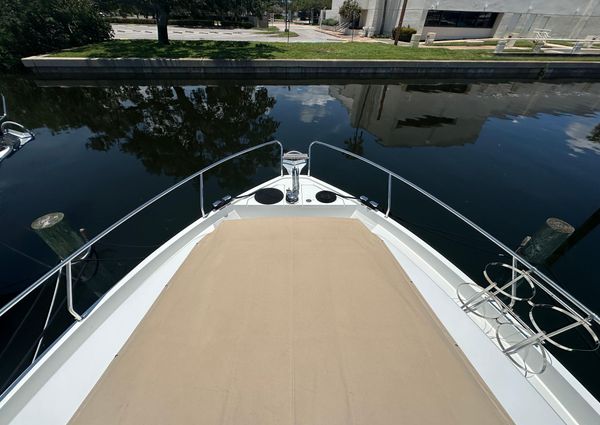 Sealine C430 image