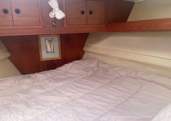 Seastream 43-PILOT-HOUSE-KETCH image