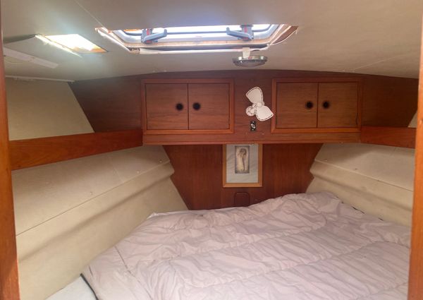 Seastream 43-PILOT-HOUSE-KETCH image