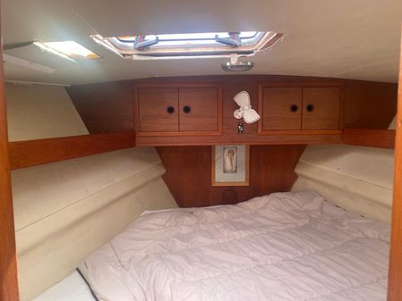 Seastream 43-PILOT-HOUSE-KETCH image