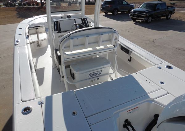 Robalo 246 Cayman image