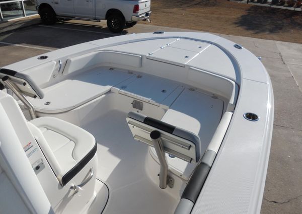 Robalo 246 Cayman image