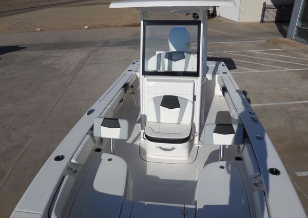 Robalo 246 Cayman image