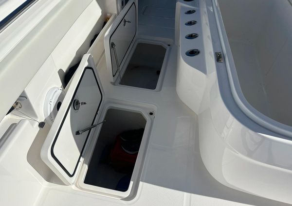 Invincible 40 Catamaran image