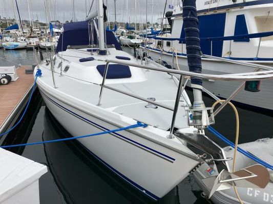 Catalina C36 MK II - main image