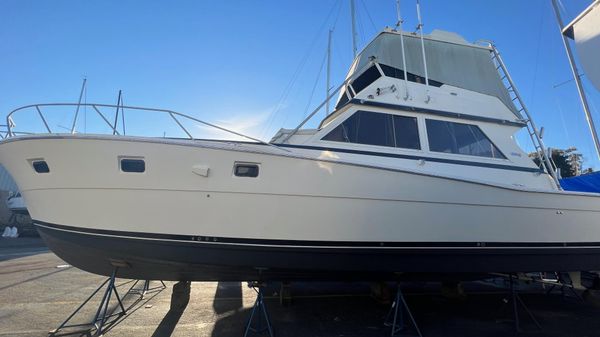 Viking 46 