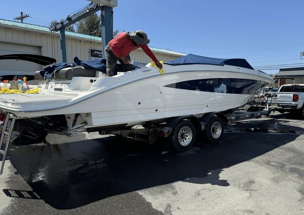 Sea Ray 290 Sundeck image