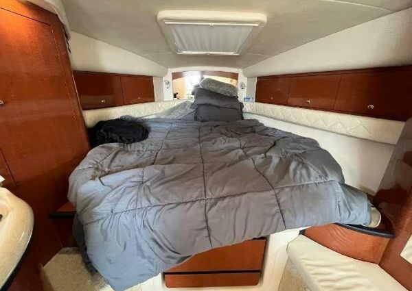 Sea Ray 340 Sundancer image