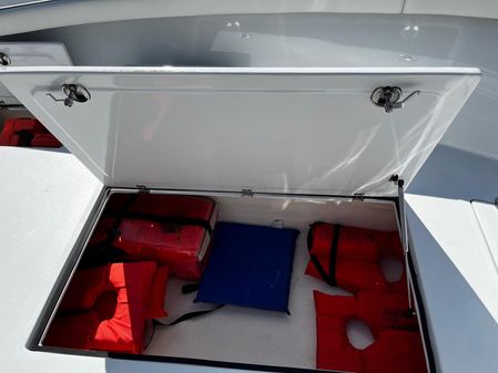 Custom Correct Craft Inc. Fish Nautique image