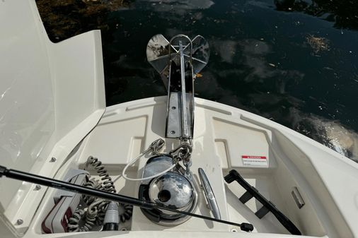 Sea Ray 310 SLX image