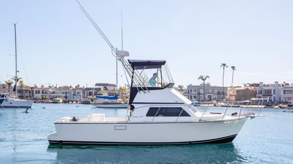 Blackman Sportfisher