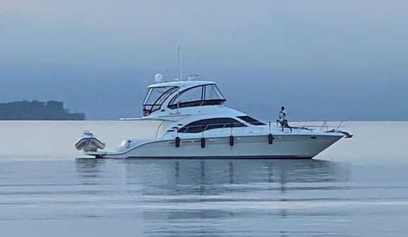 Sea Ray 52 Sedan Bridge image