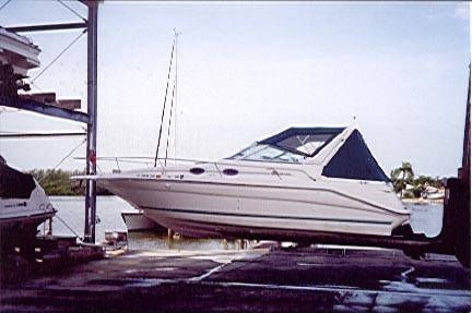 Sea Ray 290 Amberjack 