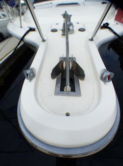 Tiara Yachts 36 Convertible Sedan image