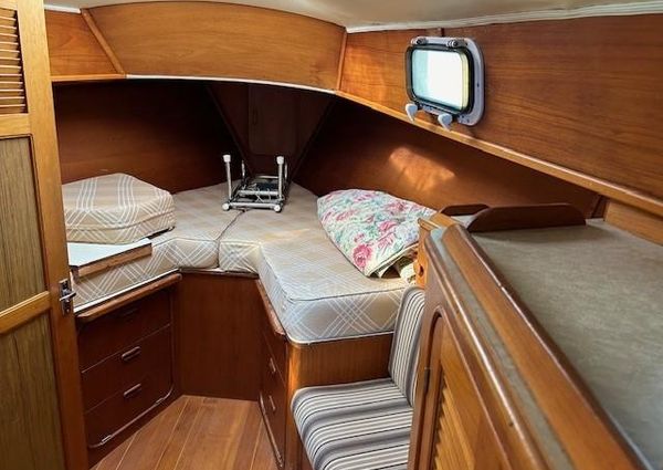 Irwin 46 Ketch image