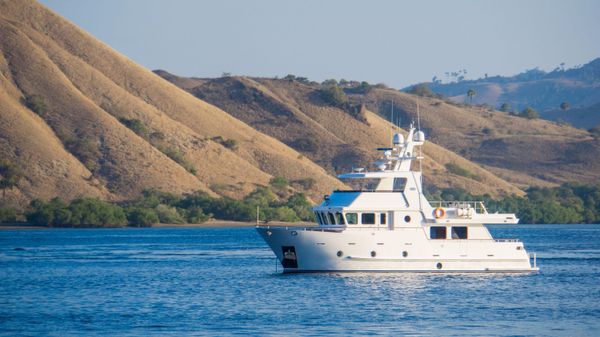 Bering 65