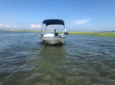 Boston-whaler 130-SPORT image