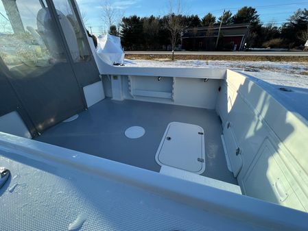 Steiger Craft 23DV Miami image