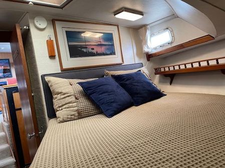 Tollycraft 43 Motor Yacht image