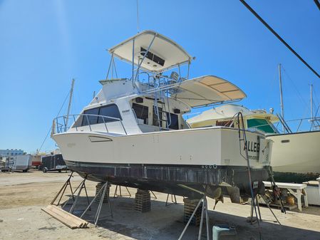 Cabo 35 Flybridge Sportfisher image