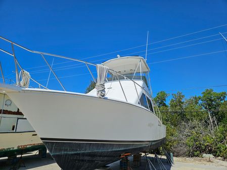 Cabo 35 Flybridge Sportfisher image