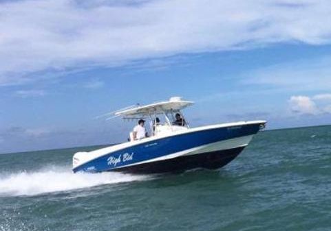 Boston Whaler 320 Outrage 