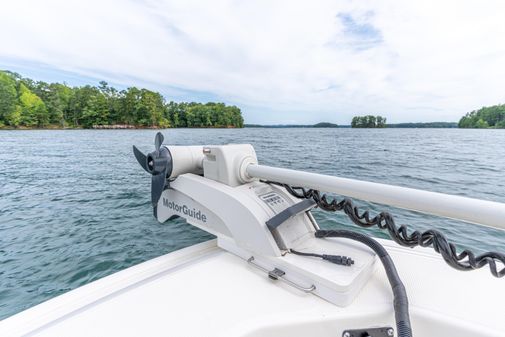 Boston Whaler 220 Dauntless image