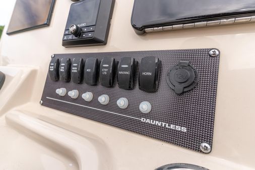 Boston Whaler 220 Dauntless image