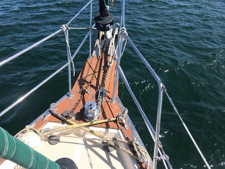 Island Packet 40 image