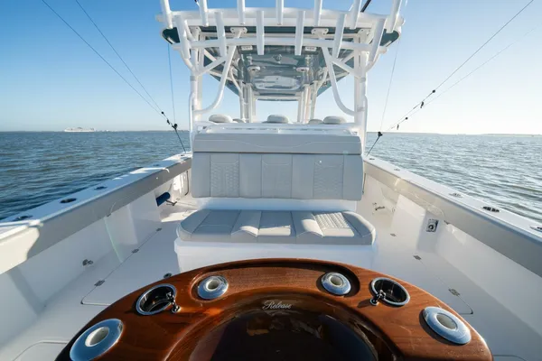 Invincible 46-CATAMARAN image